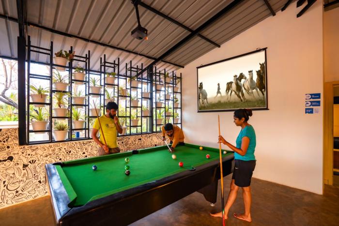 shalom backpackers anjuna goa