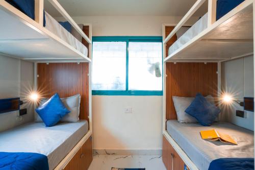 shalom backpackers anjuna goa