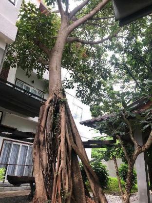 phkachan kep boutique