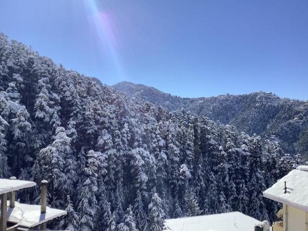 shimla