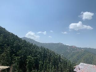 shimla
