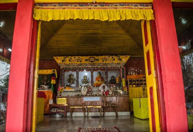 ecoluxe mountain mist