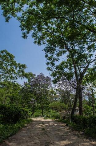 Ecoluxe Mountain Mist,India>>Darjeeling,4 star