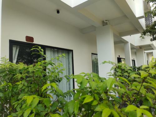 kampot
