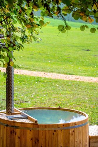 bad ramsach quellhotel