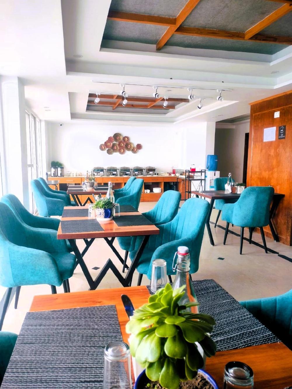 the palm aryan mussoorie a boutique hotel