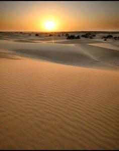 Desert Malra Camp,India>>Jaisalmer,3 star