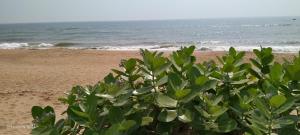 Ashirbad Villa,,2 star