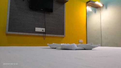 ashirbad villa