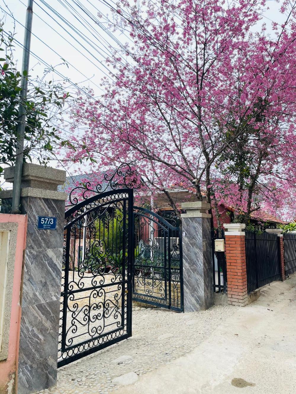 ngoc dong phuong villa home