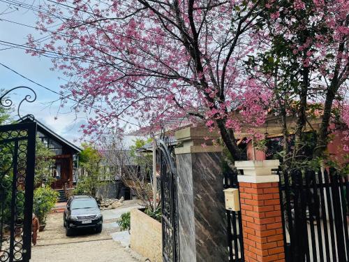 ngoc dong phuong villa home