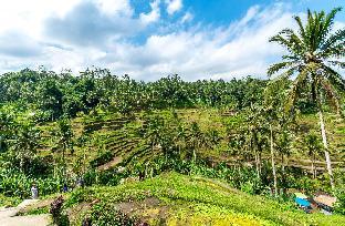 hideaway village bali ubud by kanaan hospitality