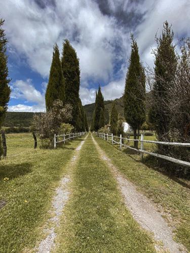 cayambe