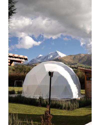 cayambe