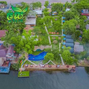 moly resort
