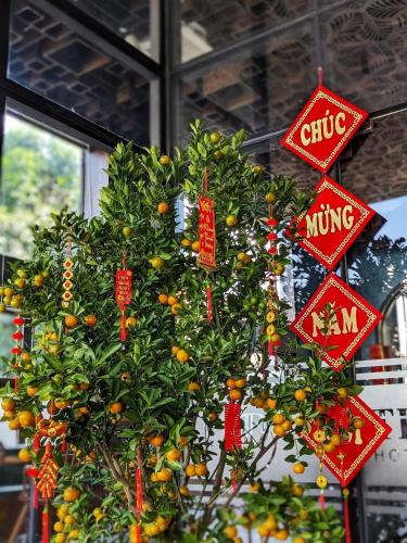 tdmaison hotel and apartment