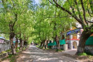 thrill nature resorts