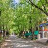 thrill nature resorts