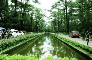 gamal 360 transient baguio city