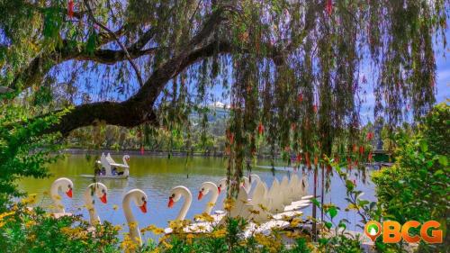 gamal 360 transient baguio city