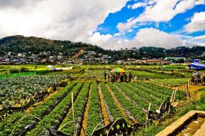 gamal 360 transient baguio city