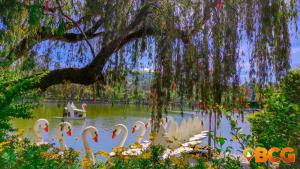 gamal 360 transient baguio city