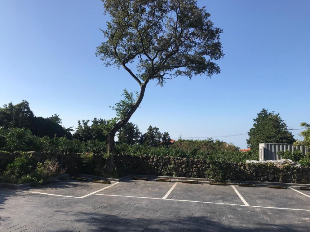 jeju teraceheal pension