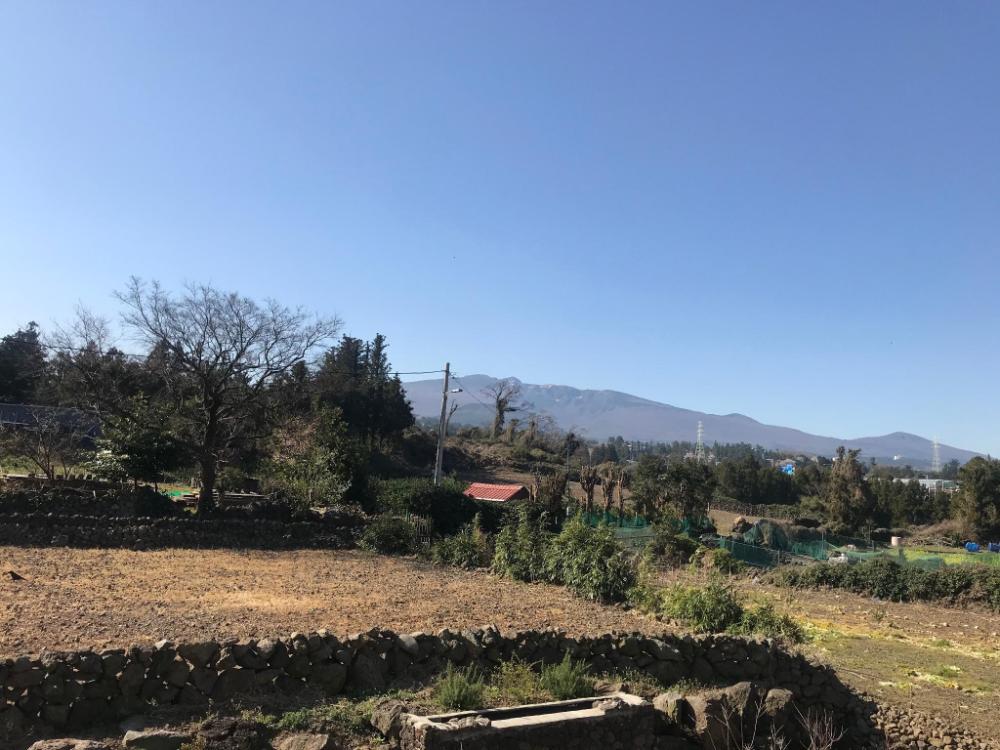 jeju teraceheal pension