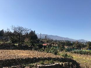 jeju teraceheal pension