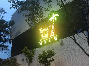 jeju teraceheal pension