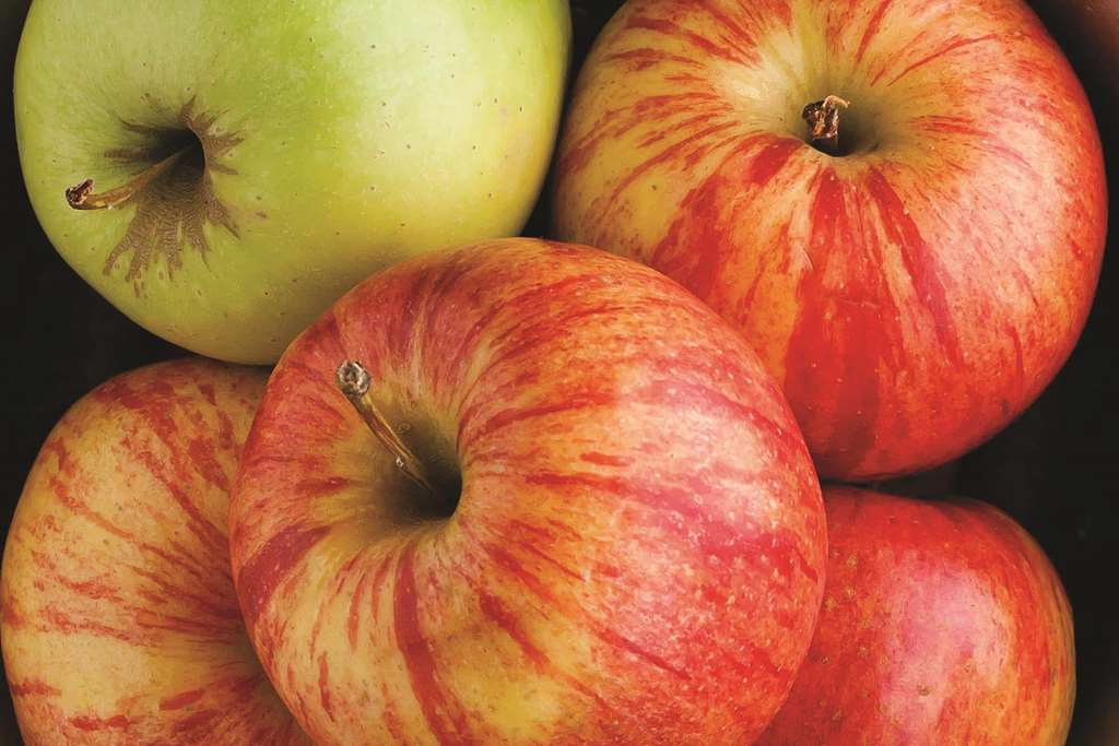 la quinta inn and suites by wyndham wichita airport