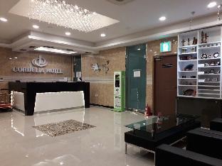 hotel stayon cordelia