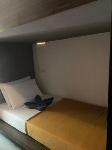 lexias hostel and workspace siargao