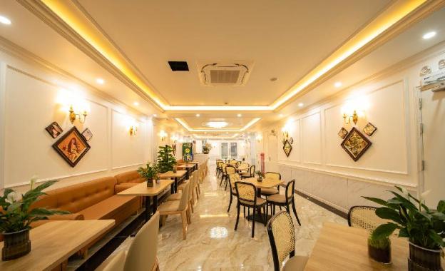 cat ba wonder hotel