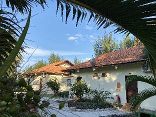 maxivic beach resort