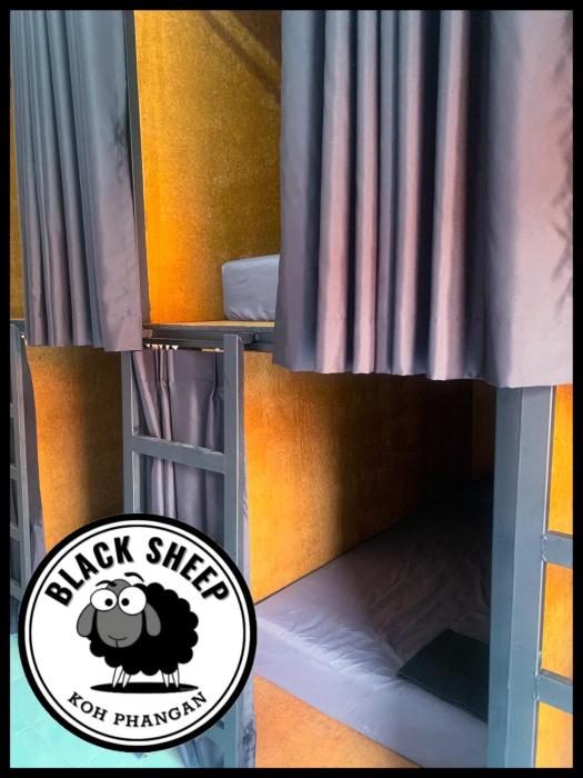 black sheep hostel