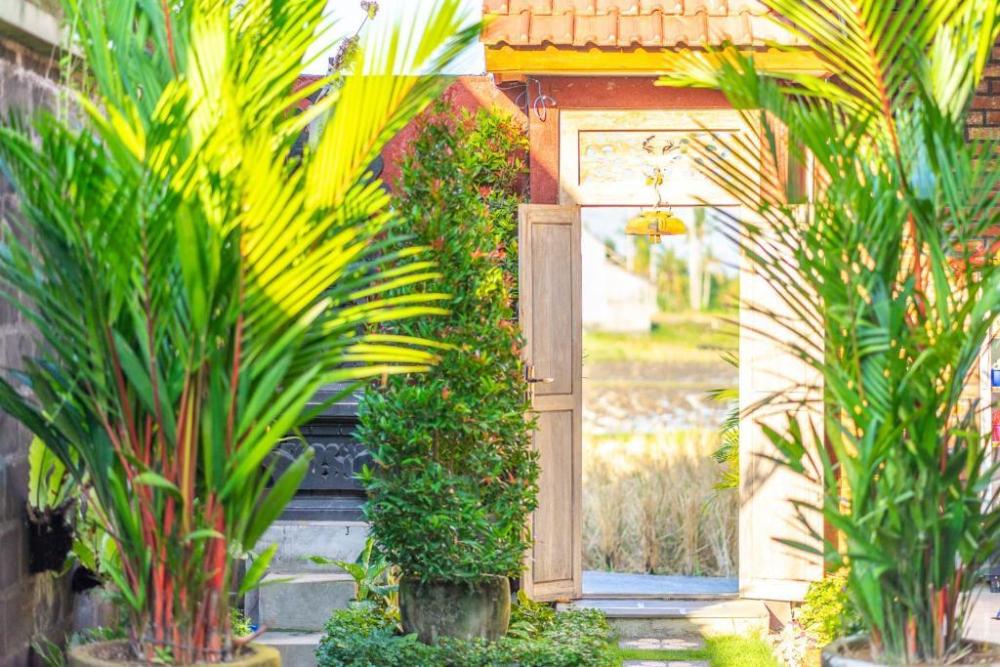 pondok lulik homestay seseh