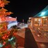 hotel asian plaza mcleodganj