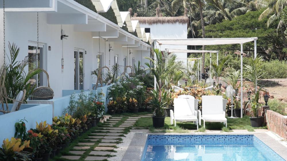 whiteflower resort morgim