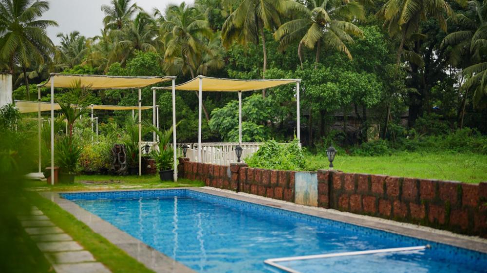 whiteflower resort morgim