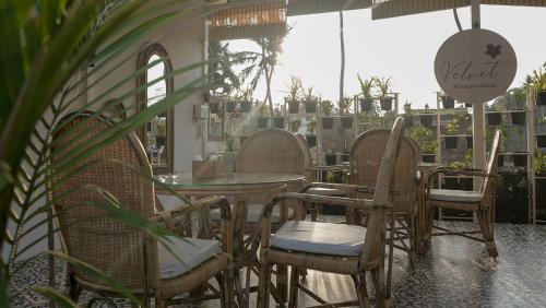 whiteflower resort morgim