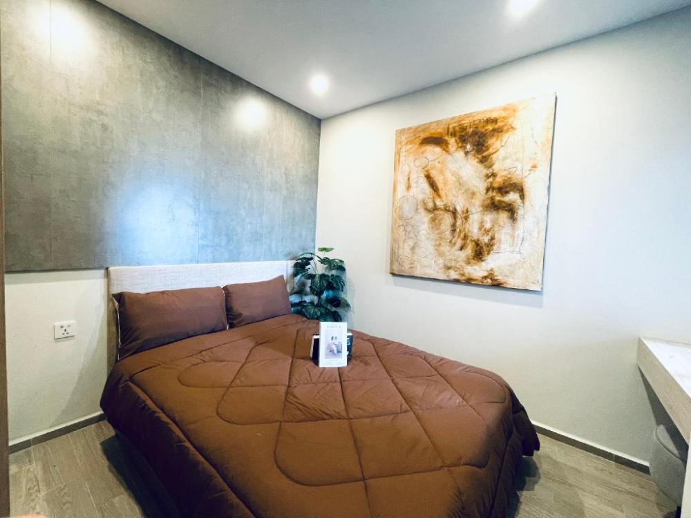 cozy apartment the song vung tau