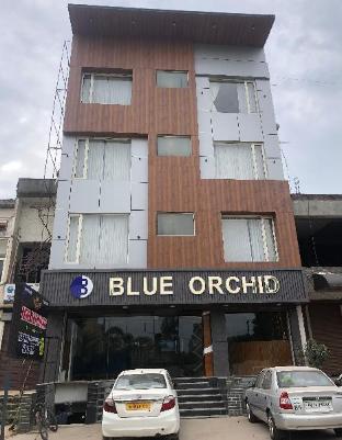 hotel blue orchid
