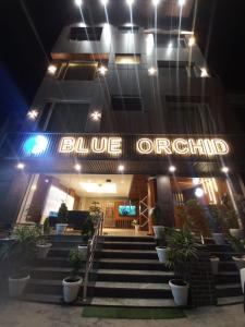 hotel blue orchid