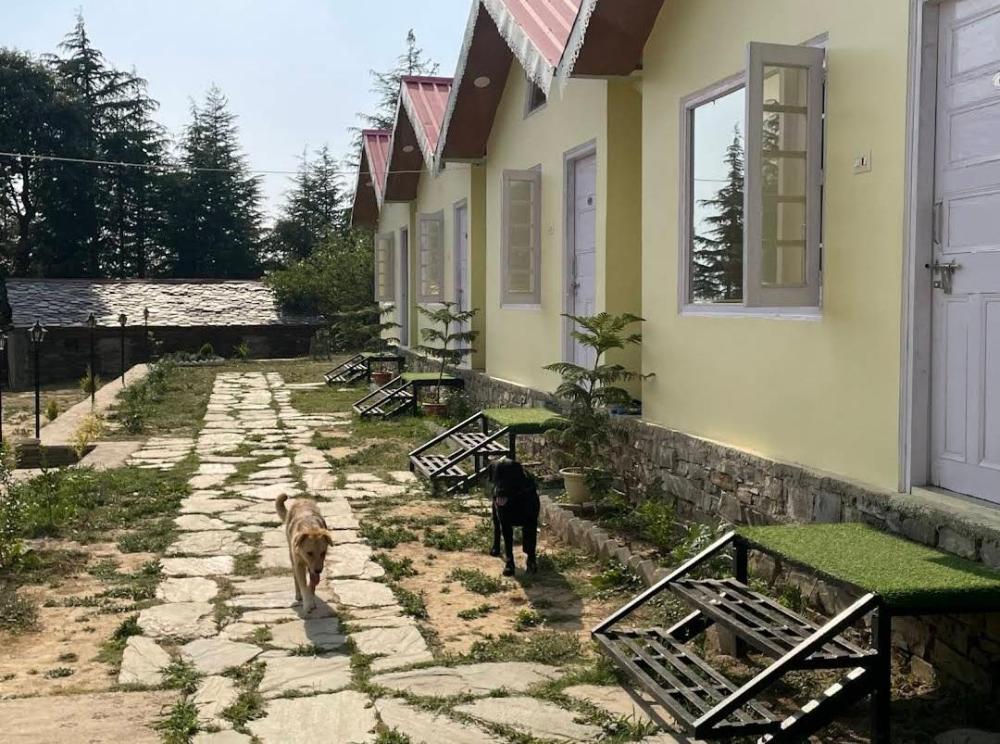 hide away camps and cottages