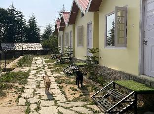 hide away camps and cottages