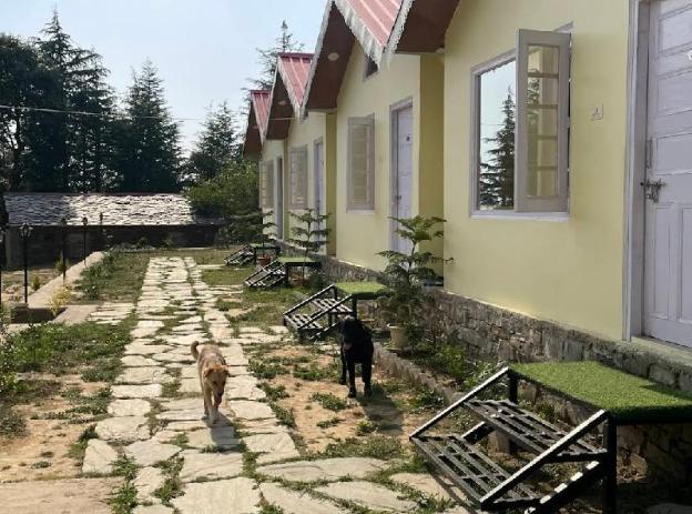 hide away camps and cottages