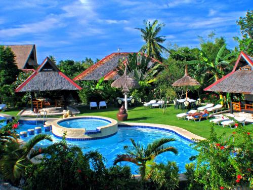 dolphin house resort spa diving