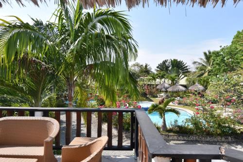 dolphin house resort spa diving