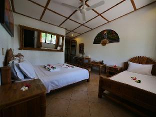 dolphin house resort spa diving